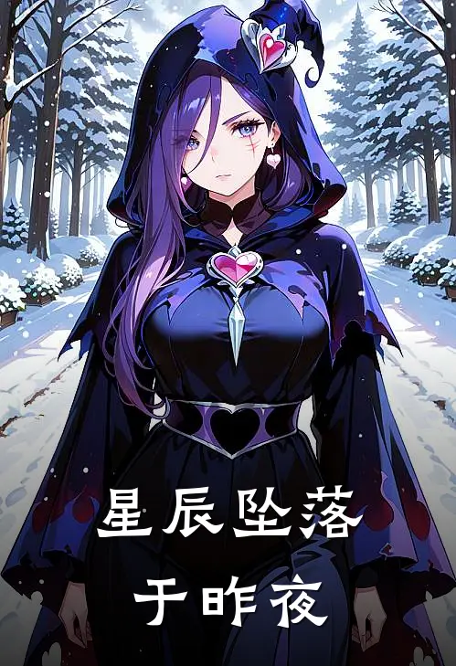 星辰坠落于昨夜