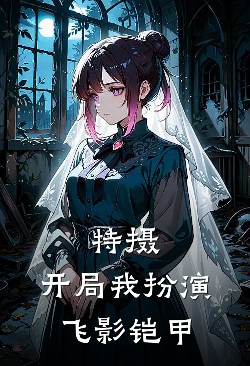 特摄：开局我扮演飞影铠甲